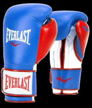 Перчатки тренировочные Everlast Powerlock PU